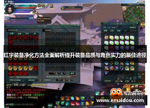 红字装备净化方法全面解析提升装备品质与角色实力的最佳途径